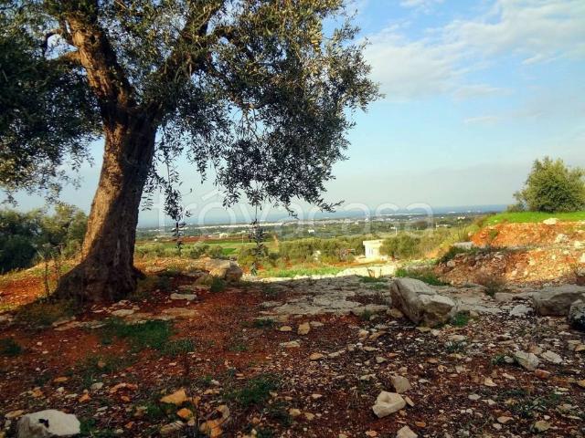 Rustico in vendita a Fasano, Brindisi