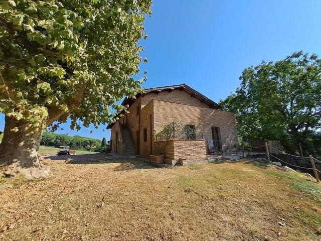Rustico in vendita a Luciana, Fauglia