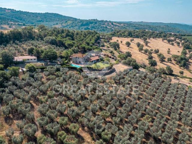 Rustico in vendita a Scansano, Toscana