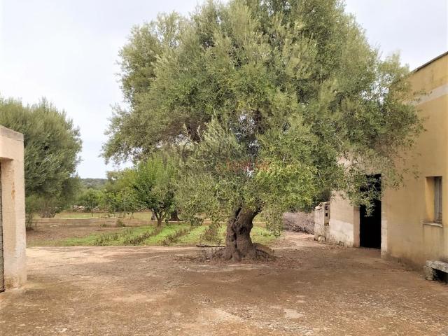 Casa in vendita a Puglia, Brindisi