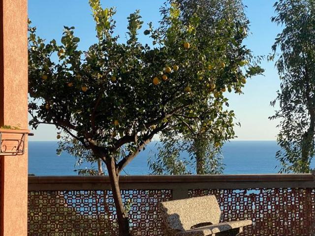 Villa Indipendente in vendita a Calabria, Reggio Calabria