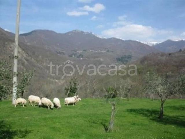 Rustico in vendita a Unione di comuni Montana Lunigiana, Fivizzano