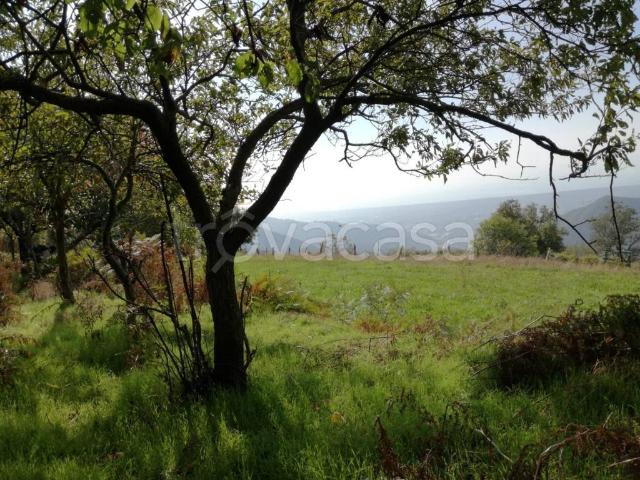 Rustico in vendita a Azzano, Seravezza