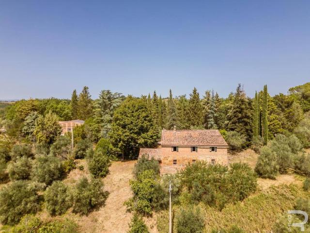 Rustico in vendita a Asciano, Siena
