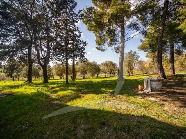 Rustico in vendita a Cinigiano, Grosseto