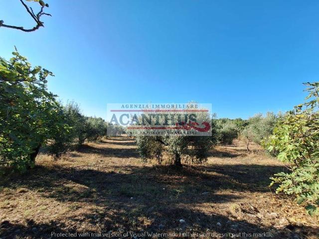 Rustico in vendita a Cori, Lazio