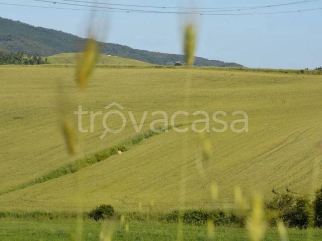 Rustico in vendita a Orciano Pisano, Toscana