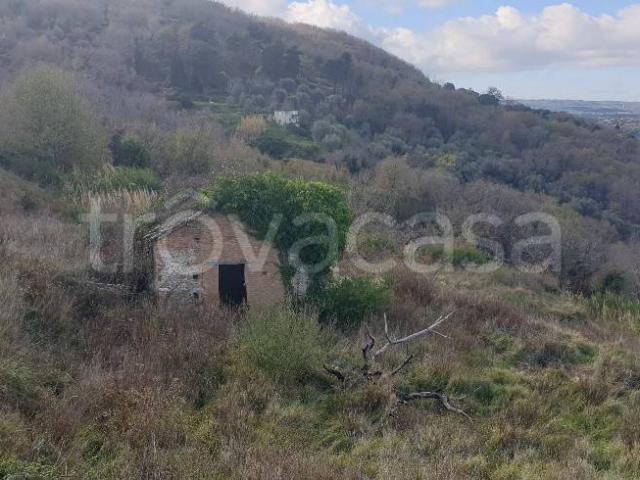 Rustico in vendita a Contrada Feudotto, Calabria