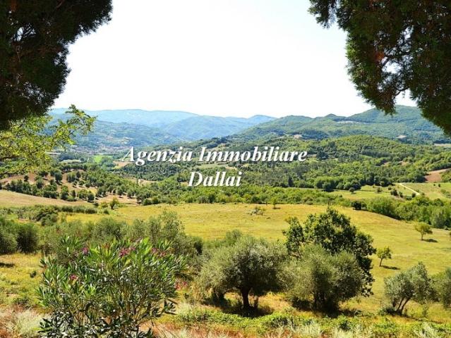Rustico in vendita a Vicchio, Toscana