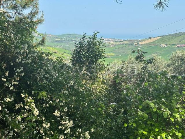 Rustico in vendita a Atri, Abruzzo