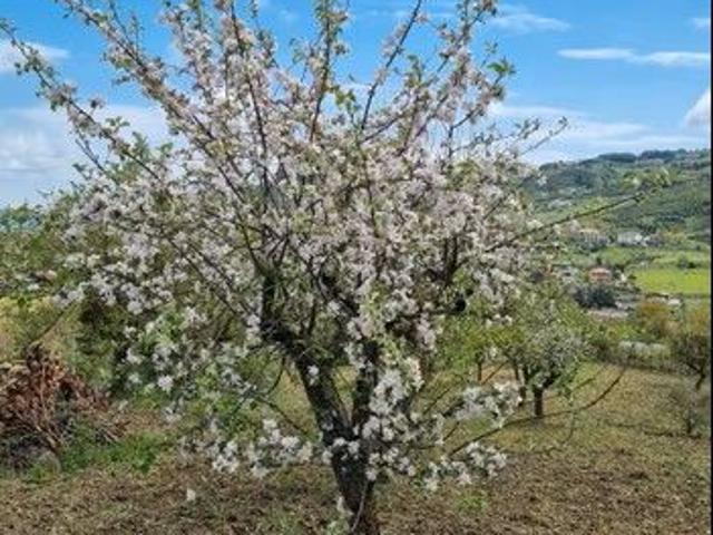 Terreno in vendita a Potenza