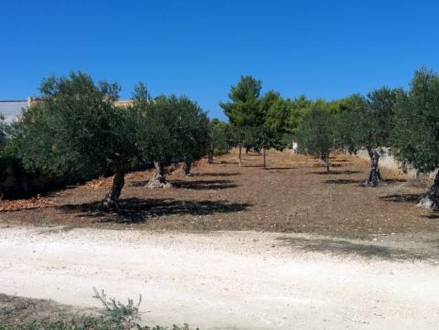 Terreno in vendita a Trapani, Sicilia