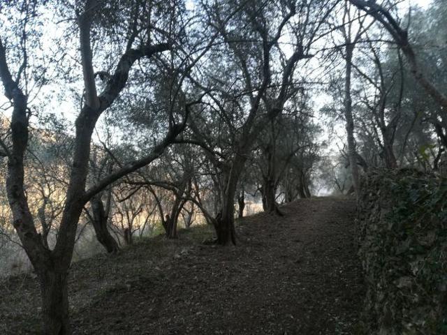 Terreno in vendita a Aquila Di Arroscia, Liguria