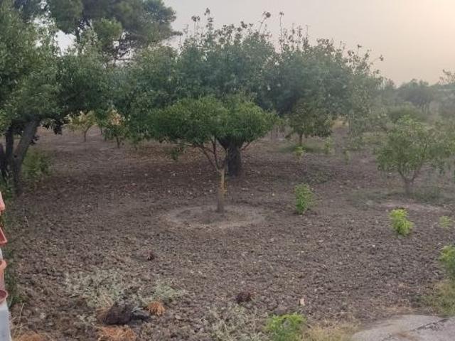 Terreno in vendita a Paceco, Sicilia