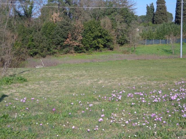 Terreno in vendita a Unione dei Comuni Circondario dell'Empolese Valdelsa, Fucecchio