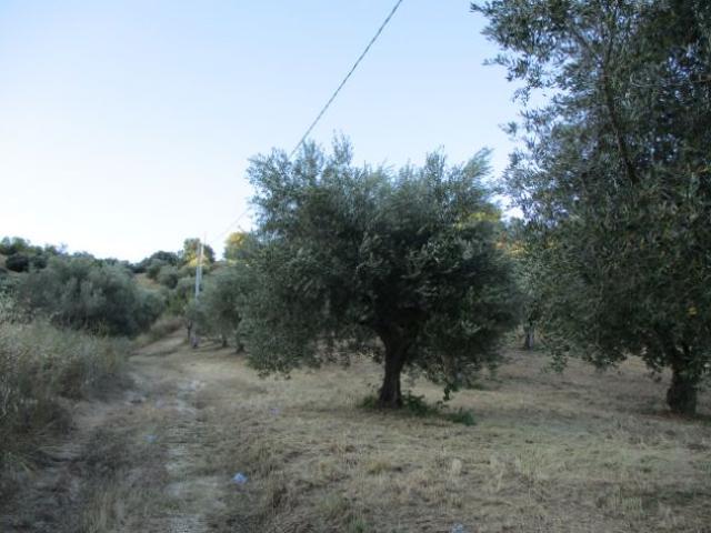Terreno in vendita a Montesilvano, Abruzzo