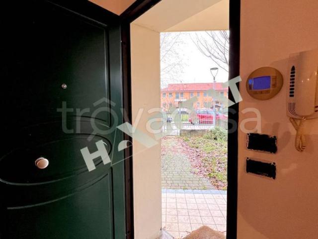 Villa Schiera in vendita a Carrara San Giorgio, Veneto