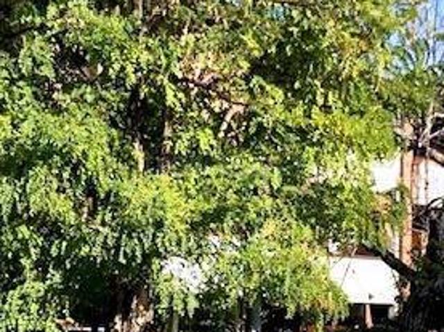 Villa Schiera in vendita a Unione di comuni Terre di Castelli, Vignola
