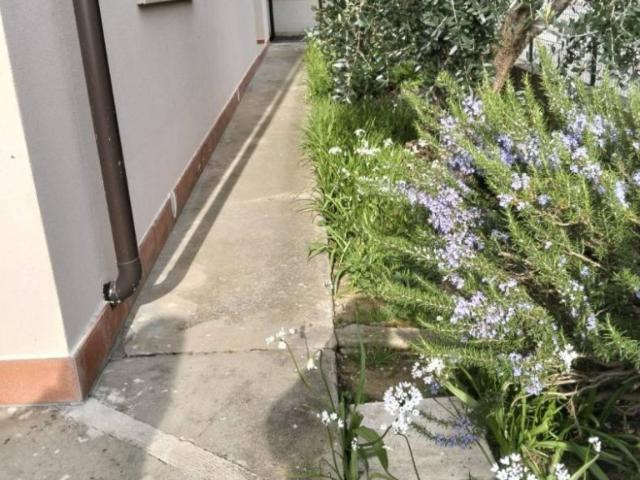 Villa Indipendente in vendita a Montevettolini, Toscana