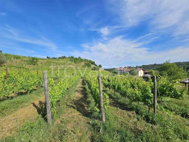 Villa Indipendente in vendita a Piemonte, Biella