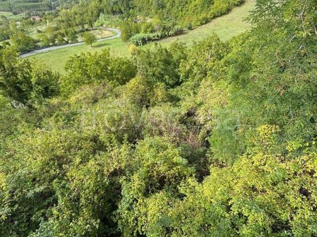 Villa Indipendente in vendita a Piemonte, Alessandria