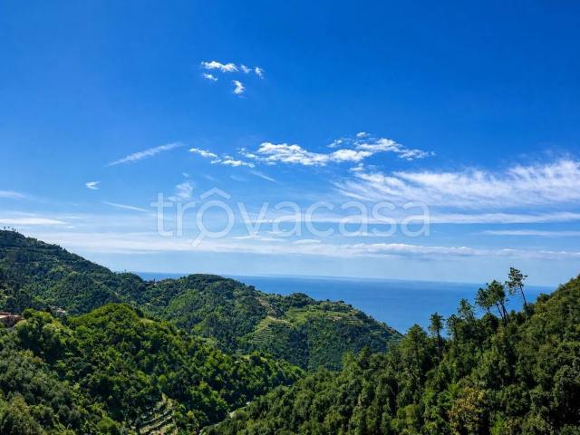 Villa Indipendente in vendita a Vernazza, Liguria