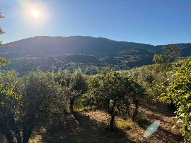Villa Indipendente in vendita a Serpiolle, Firenze