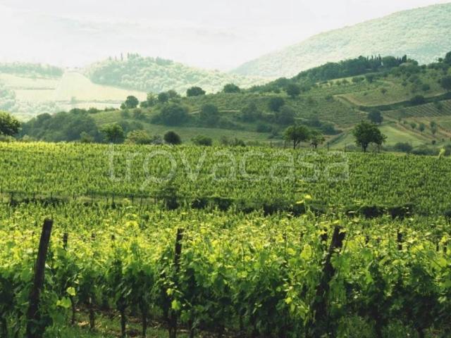 Villa Indipendente in vendita a San Polo In Chianti, Firenze