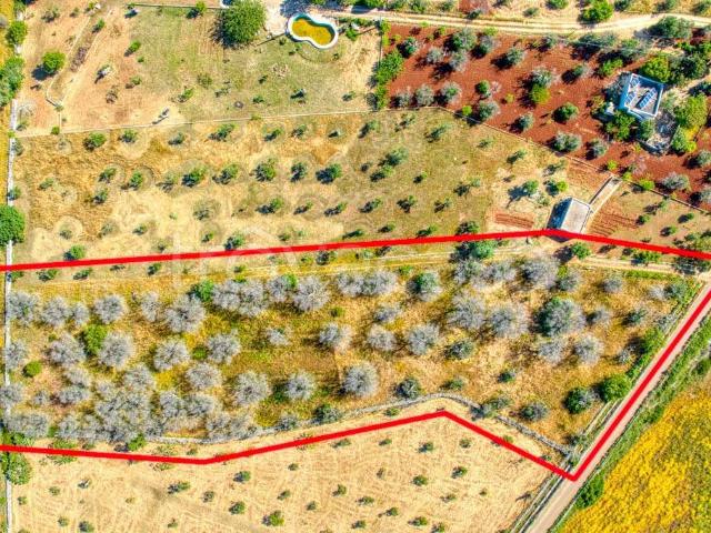 Villa Indipendente in vendita a Puglia, Lecce