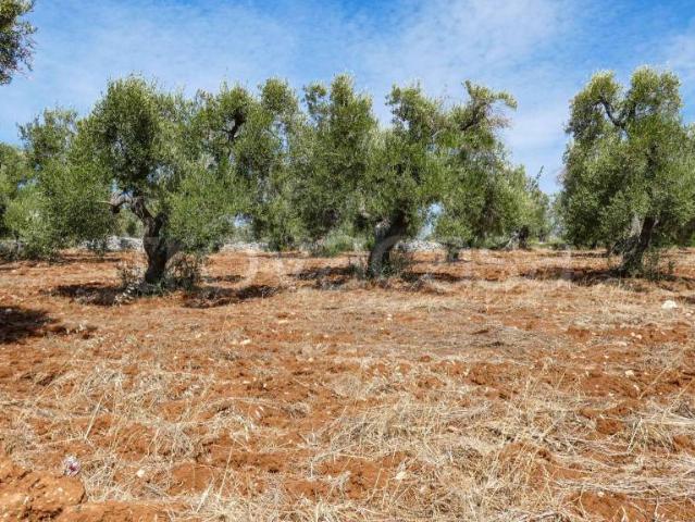 Villa Indipendente in vendita a Puglia, Brindisi