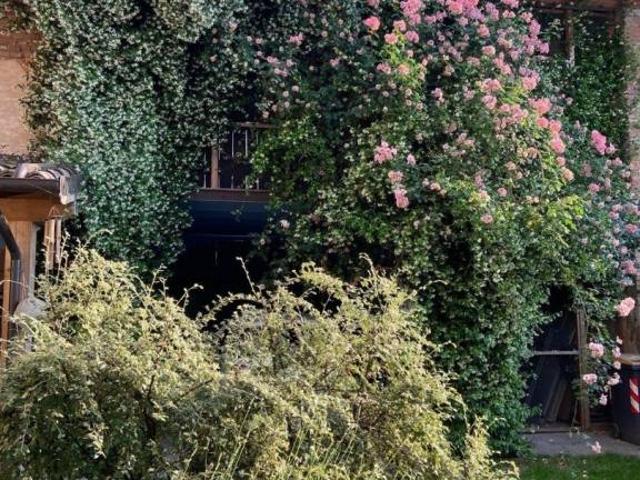 Villa Indipendente in vendita a Piemonte, Alessandria