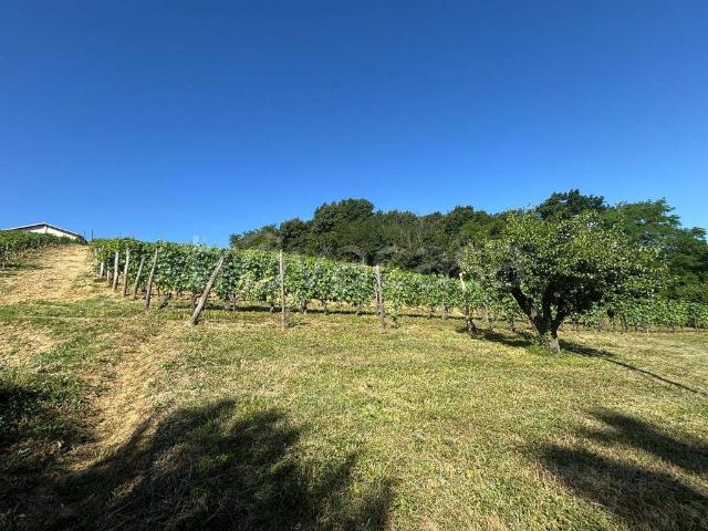 Villa Indipendente in vendita a Moncalvi, Gavi