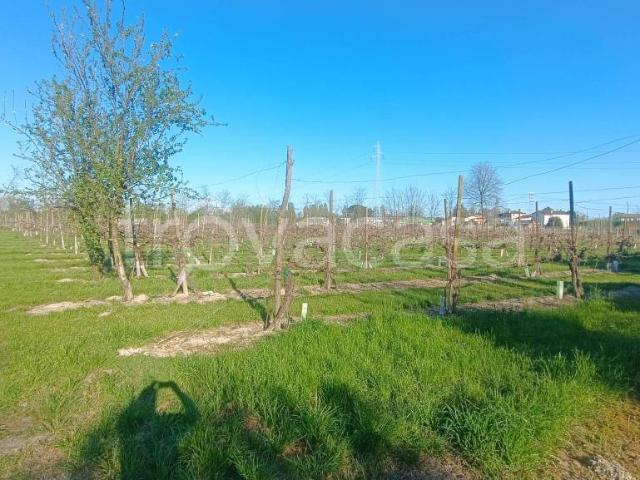 Villa Indipendente in vendita a San Biagio Di Callalta, Veneto