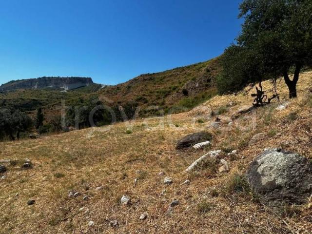 Villa Indipendente in vendita a Calabria, Reggio Calabria
