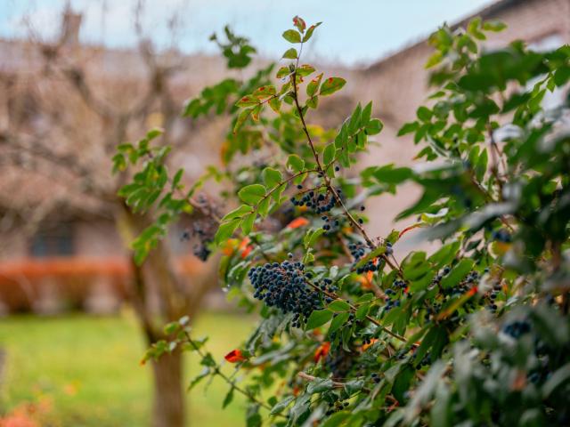 Bostadsrätt till salu i Botkyrka, Stockholm