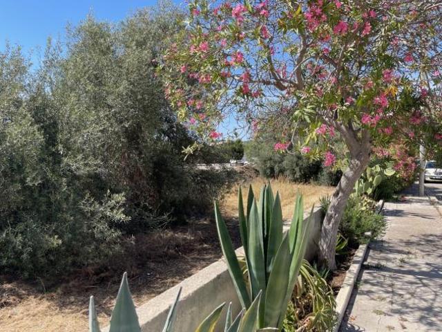 Terreno in vendita a Pozzallo, Sicilia
