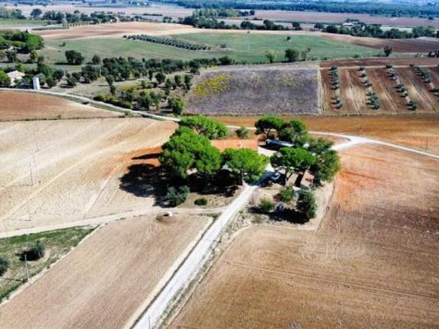 Terreno in vendita a Roccastrada, Toscana