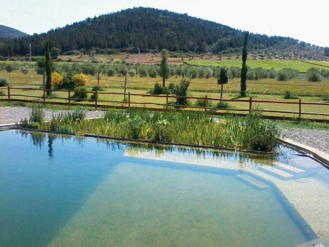 Terreno in vendita a Castiglione Della Pescaia, Toscana