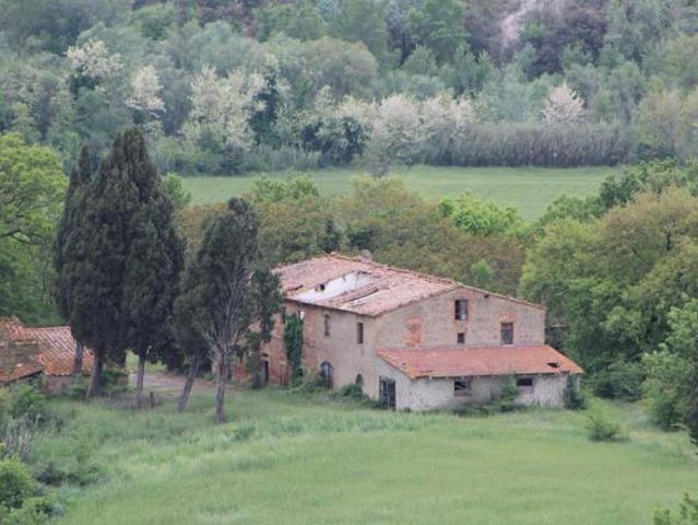 Terreno in vendita a Larderello, Toscana
