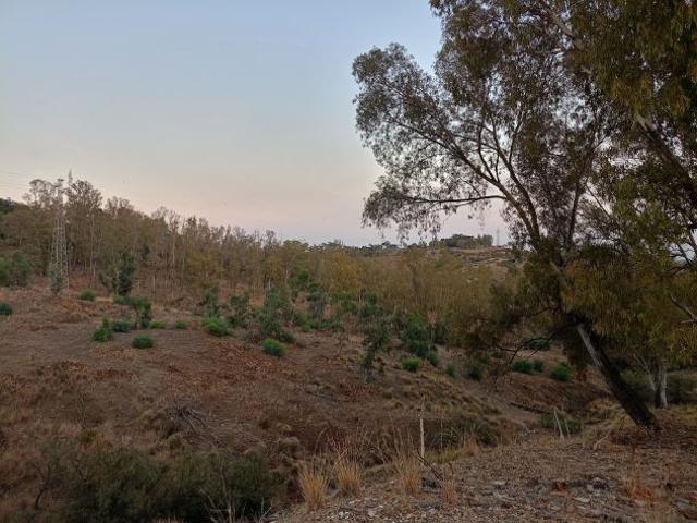 Terreno in vendita a Calabria, Reggio Calabria