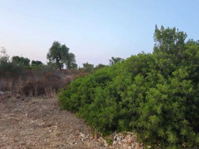 Terreno in vendita a Puglia, Brindisi