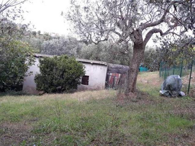 Terreno in vendita a Vasto, Abruzzo