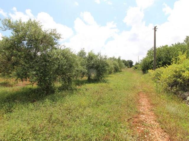 Terreno in vendita a Puglia, Taranto