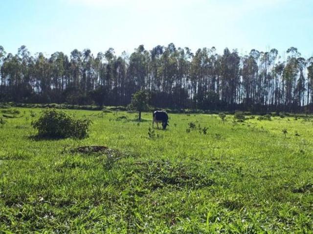 Sítio e chácara venda em Região Geográfica Imediata do Distrito Federal, Região Integrada de Desenvolvimento do Distrito Federal e Entorno