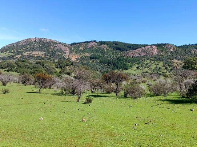 Vendo 2 espectaculares parcelas con casa