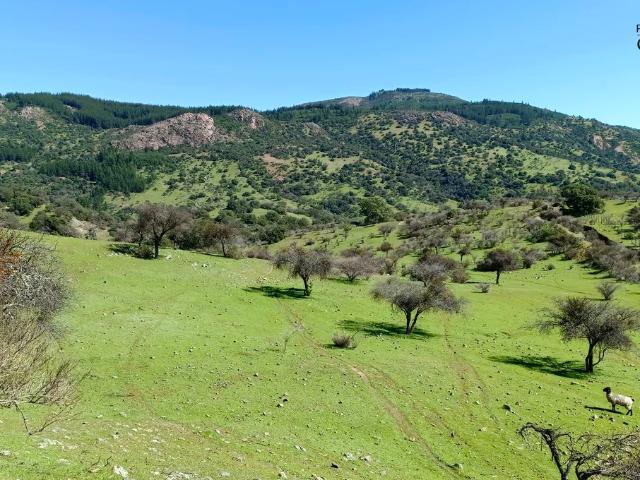 Vendo 2 espectaculares parcelas con casa