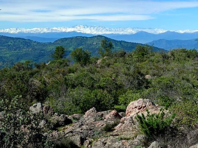 Vendo 2 espectaculares parcelas con casa