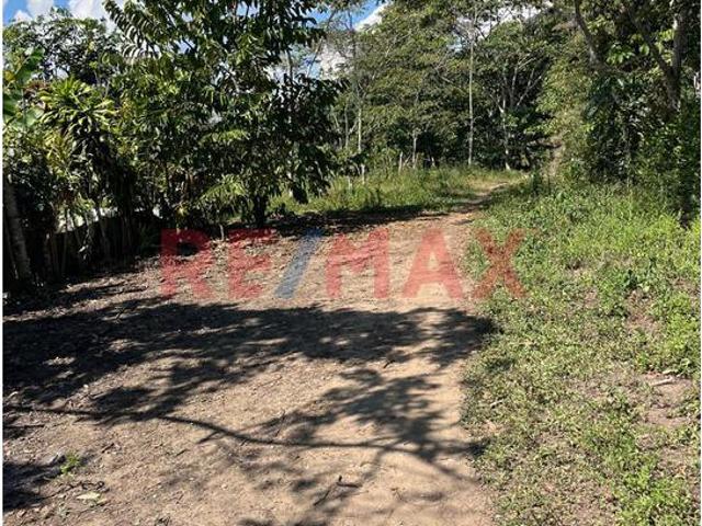 Terreno venta en Barrio de Calvario, Moyobamba