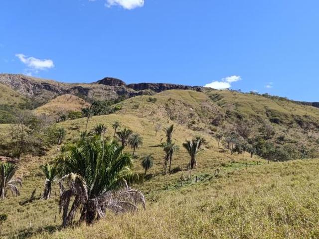 Sítio e chácara venda em Região Geográfica Imediata de Flores de Goiás, São João d'Aliança