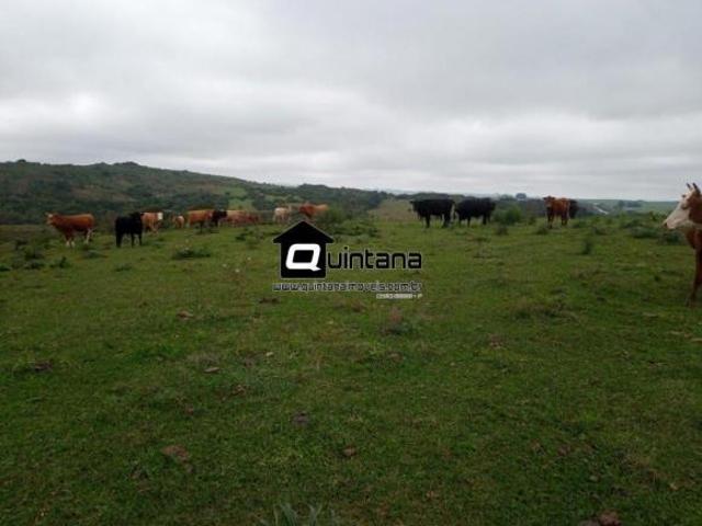 Sítio e chácara venda em Região Geográfica Imediata de Santa Maria, Santa Maria